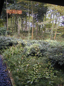 昭和記念公園　日本庭園東トイレ