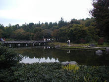 昭和記念公園　日本庭園