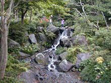 昭和記念公園　日本庭園