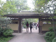 昭和記念公園　日本庭園