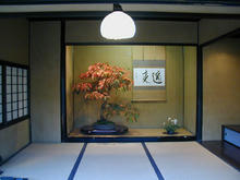 昭和記念公園　日本庭園盆栽苑