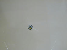 西友保谷店　3階トイレ