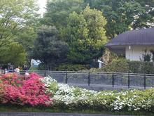 昭和記念公園　さつき橋トイレ