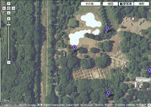 昭和記念公園　雲の海