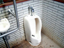 昭和記念公園　雲の海多目的トイレ