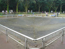 昭和記念公園　霧の森