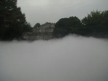 昭和記念公園　霧の森