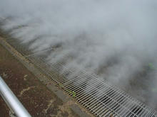 昭和記念公園　霧の森