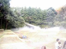 昭和記念公園　霧の森