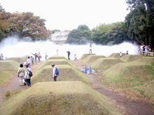 昭和記念公園　霧の森