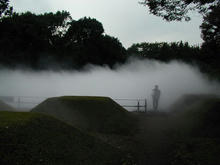 昭和記念公園　霧の森