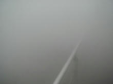 昭和記念公園　霧の森