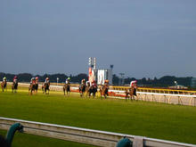 東京競馬場