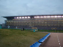 東京競馬場　馬場内