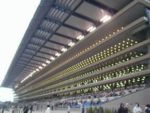東京競馬場
