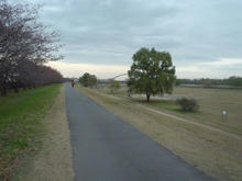 くじら運動公園