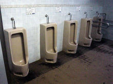 昭和記念公園　桜の園トイレ