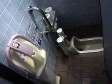 昭和記念公園　桜の園トイレ