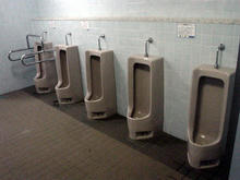 昭和記念公園　桜の園トイレ