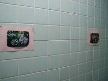 ひばりが丘公民館トイレ