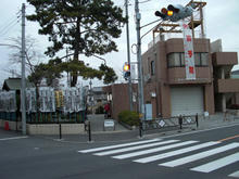 多摩川さくら緑地