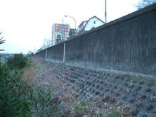 多摩川児童公園トイレ