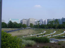 昭和記念公園