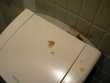 立川タカシマヤ　9階トイレ