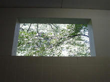 小金井公園　たてもの園前トイレ