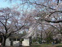 小金井公園　たてもの園前トイレ