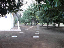 小金井公園 中央NEWトイレ