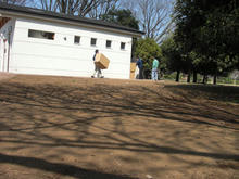 小金井公園 中央NEWトイレ