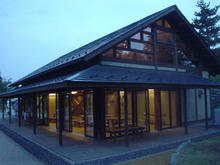 昭和記念公園　コスモスの丘