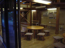 昭和記念公園　コスモスの丘