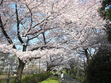 あじさい公園トイレ