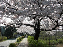 あじさい公園トイレ