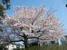 あじさい公園トイレ