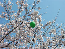 あじさい公園トイレ