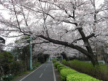 あじさい公園トイレ