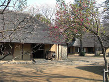 小金井公園 江戸東京たてもの園