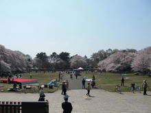 小金井公園 江戸東京たてもの園ビジターセンター前