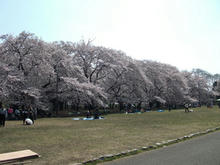 小金井公園 江戸東京たてもの園ビジターセンター前