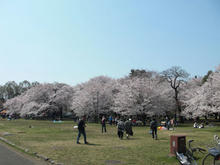 小金井公園 江戸東京たてもの園ビジターセンター前