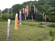 大沢緑地トイレ