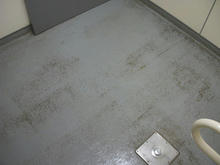 旧岩崎邸庭園　入場口横多目的トイレ