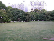 旧岩崎邸庭園 洋館2階