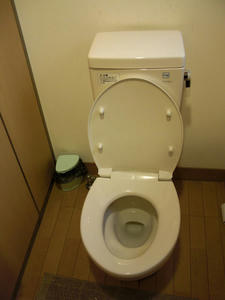 旧岩崎邸庭園 和館トイレ