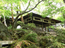 殿ヶ谷戸公園　紅葉亭