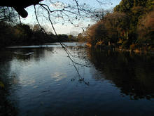 善福寺公園 中央橋トイレ