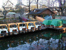 善福寺公園 中央橋